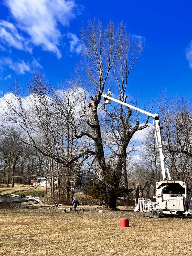 Custom lawn care service for residential properties across Middletown, NY - Hudson Valley Tree Removal