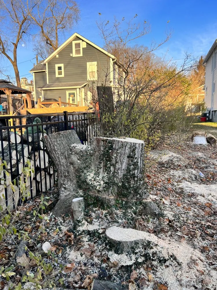 Custom landscape design experts serving Middletown, NY - Hudson Valley Tree Removal