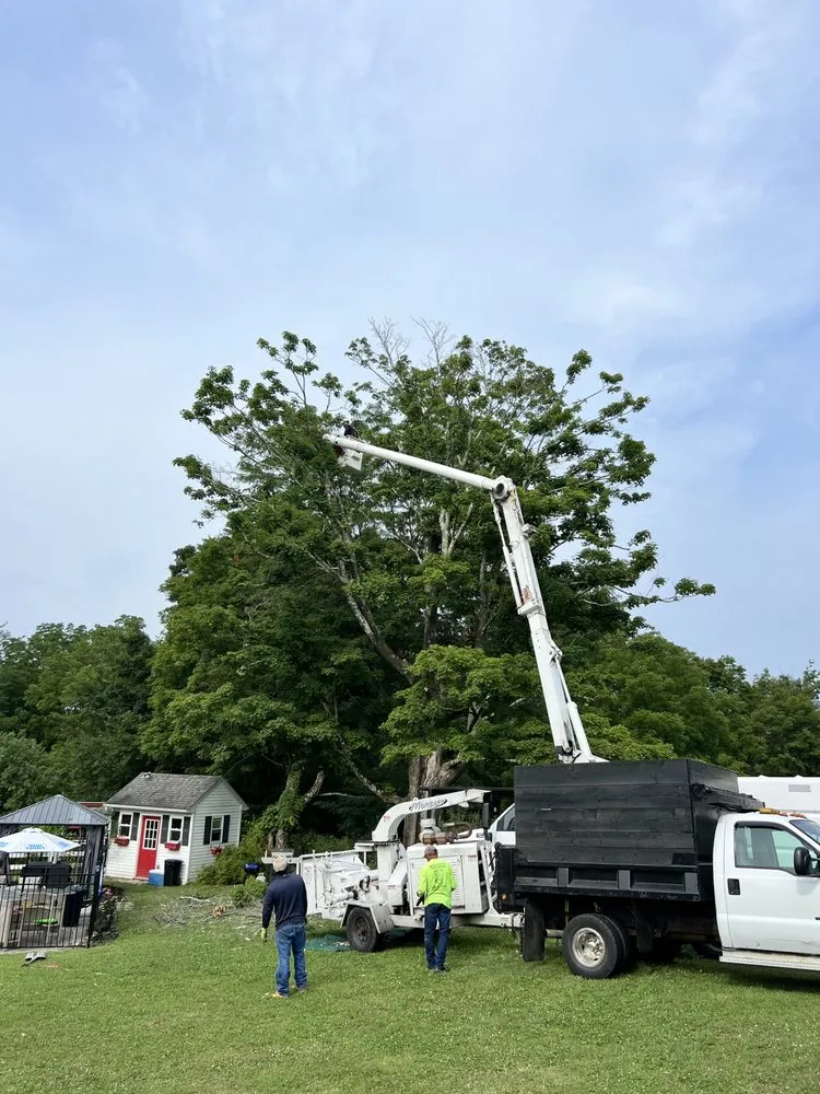 Reliable yard cleanup service in Middletown, NY - Hudson Valley Tree Removal