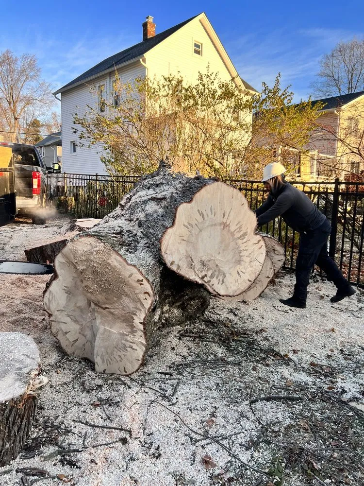 Local lawn care service in Middletown, NY - Hudson Valley Tree Removal