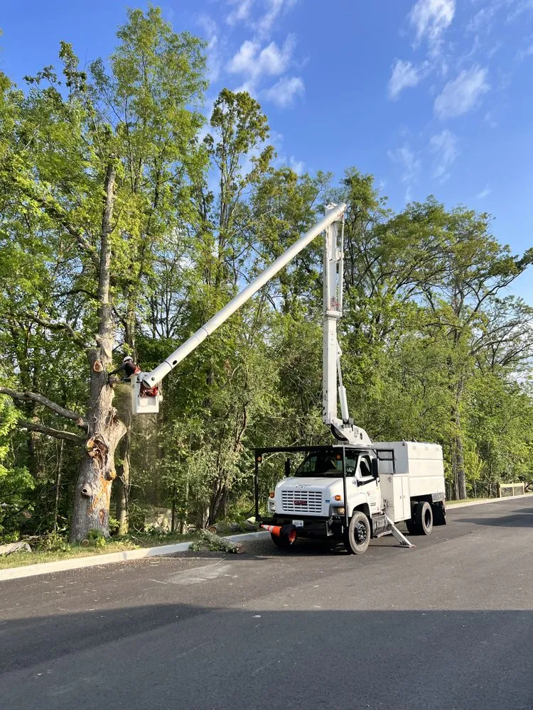 Local lawn care service for outdoor upgrades in Middletown, NY by Hudson Valley Tree Removal