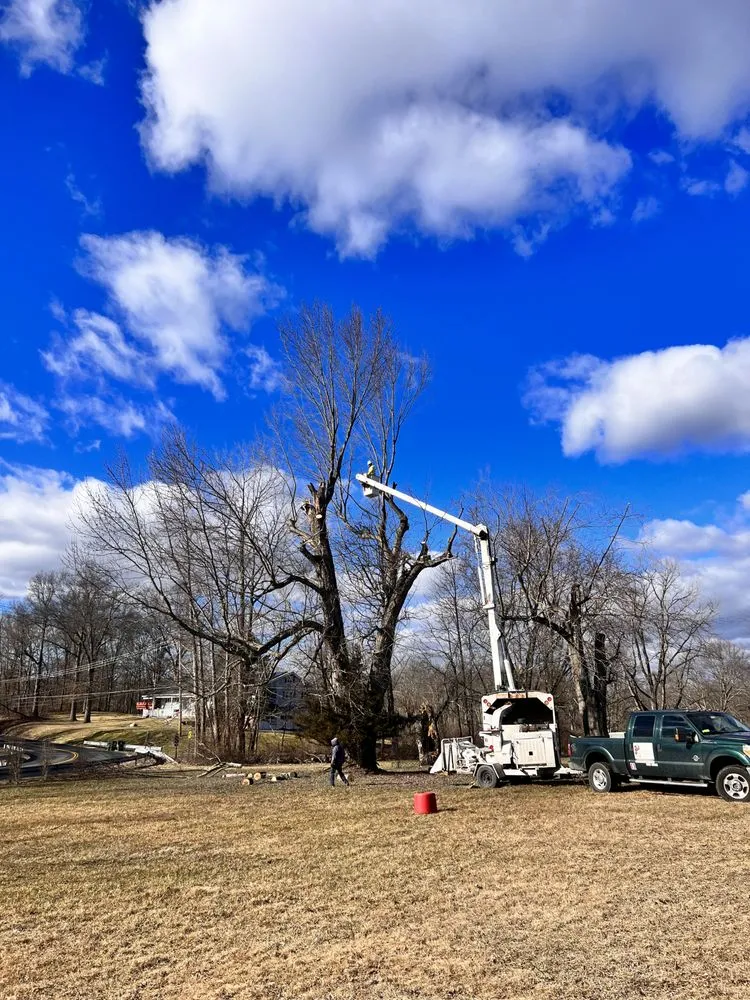 Top-rated landscape design for year-round maintenance in Middletown, NY by Hudson Valley Tree Removal