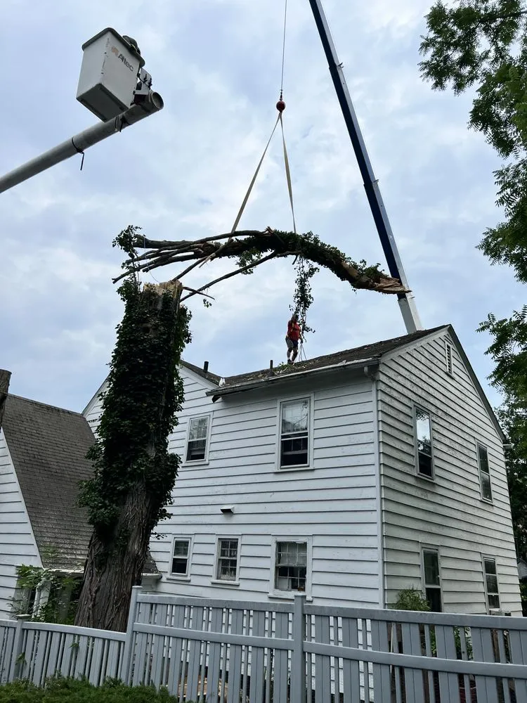 Professional garden landscaping experts serving Middletown, NY - Hudson Valley Tree Removal