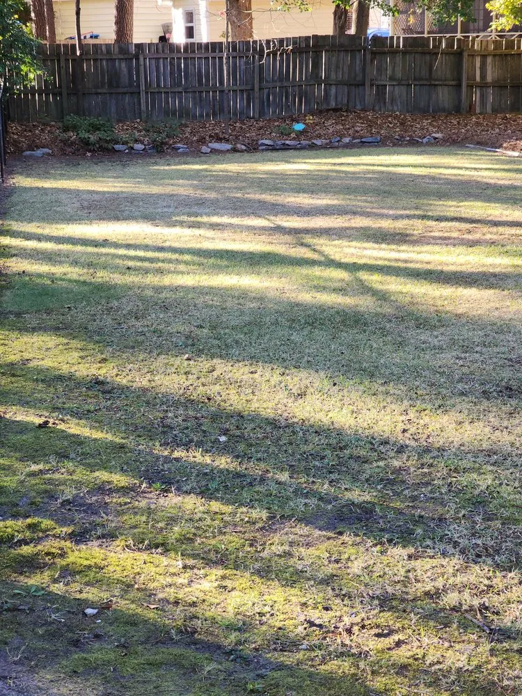 Trusted lawn mowing service in Rocky Mount, NC - Hudson's Cuttings