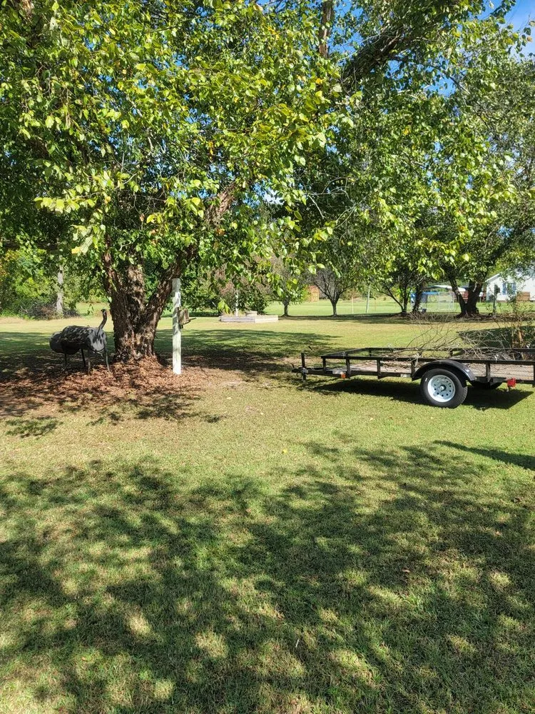 Expert landscaping services near you across Rocky Mount, NC - Hudson's Cuttings