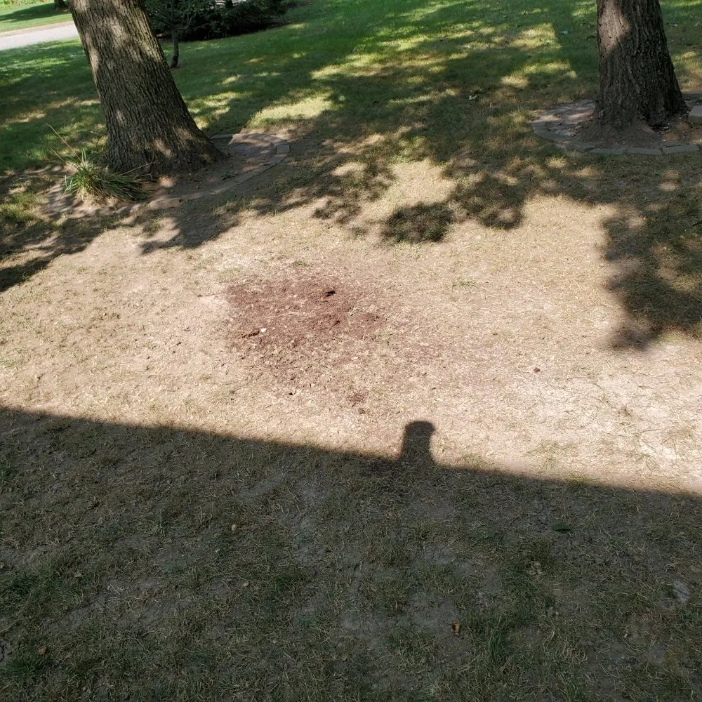 Expert garden landscaping for residential properties in Anderson, IN by Hudson's Lawn Care And Landscaping