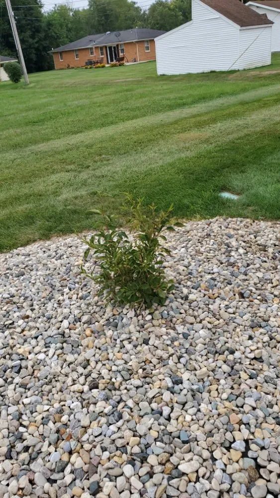 Custom landscaping services in Anderson, IN - Hudson's Lawn Care And Landscaping