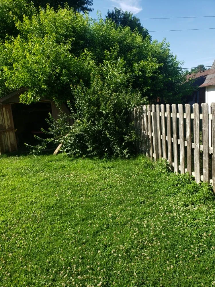 Professional lawn care service in Anderson, IN by Hudson's Lawn Care And Landscaping