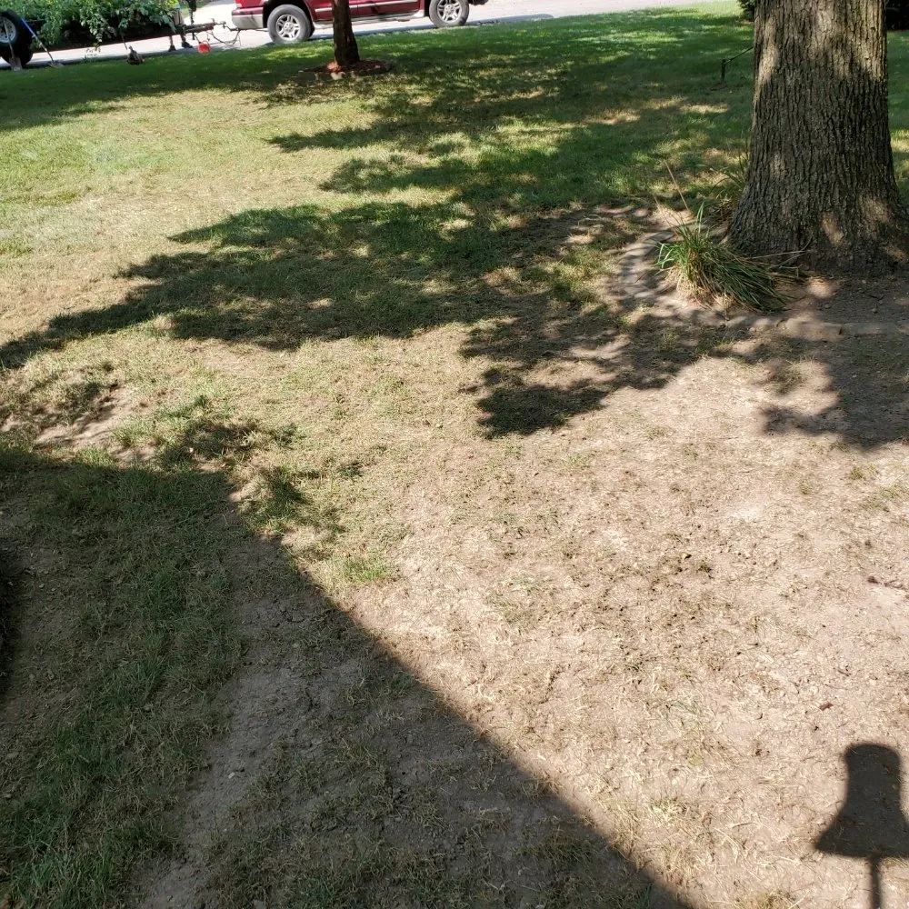 Affordable yard maintenance experts serving Anderson, IN - Hudson's Lawn Care And Landscaping