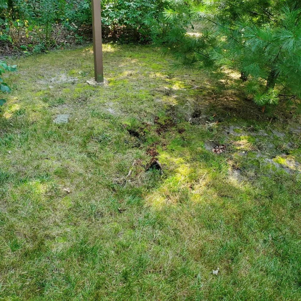 Affordable outdoor landscaping experts serving Anderson, IN - Hudson's Lawn Care And Landscaping