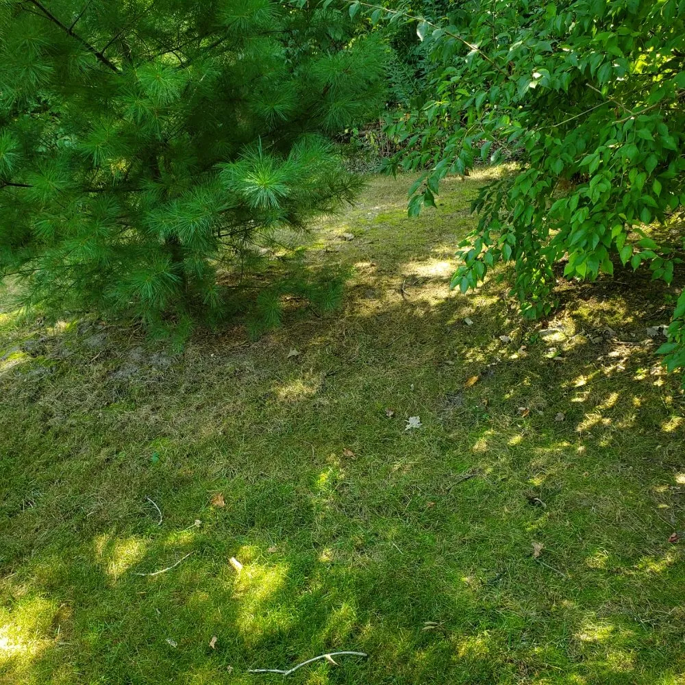 Expert landscape installation experts serving Anderson, IN - Hudson's Lawn Care And Landscaping