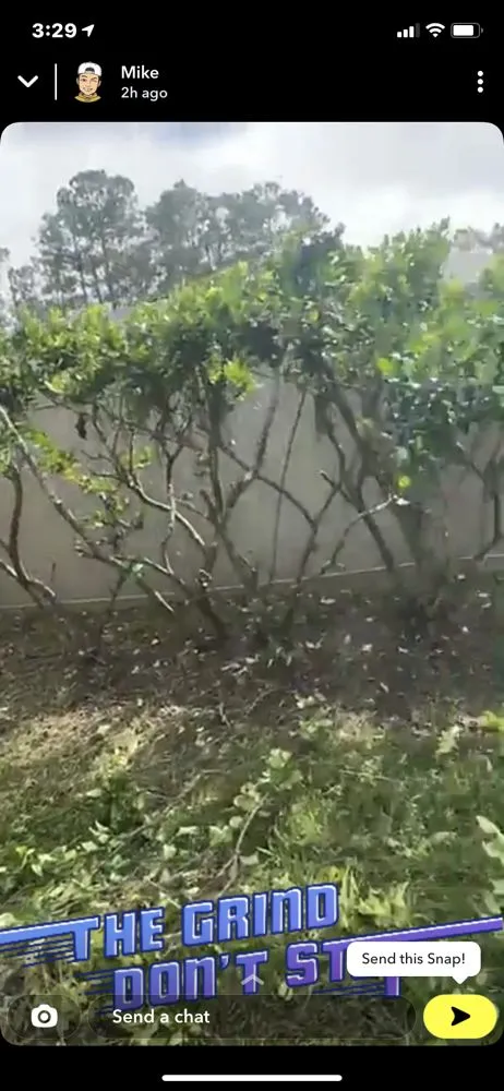 Professional outdoor landscaping for residential properties across Palm Coast, FL - Hudson’s Lawn Care