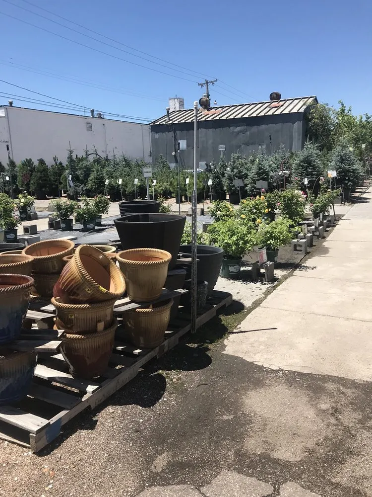 Local lawn care service for year-round maintenance across North Platte, NE - Huebner's Nursery Lawn & Garden Center