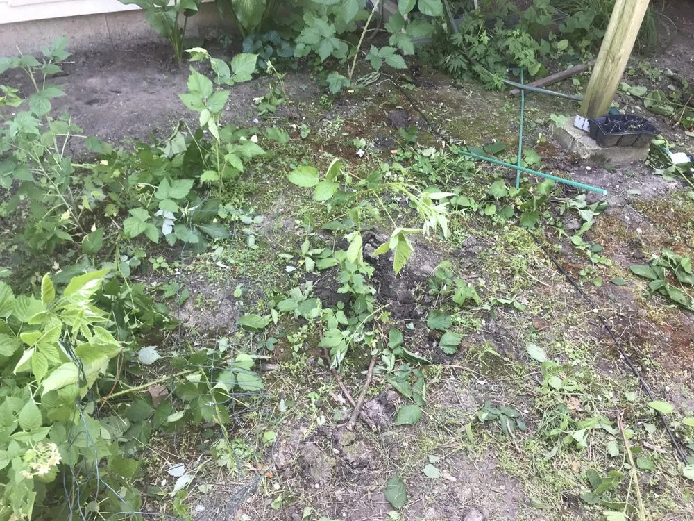 Trusted landscaping services experts serving Kingston, IL - Huerta Landscaping