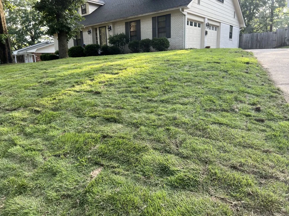 Expert outdoor landscaping for year-round maintenance across Little Rock, AR - Huerta Landscaping