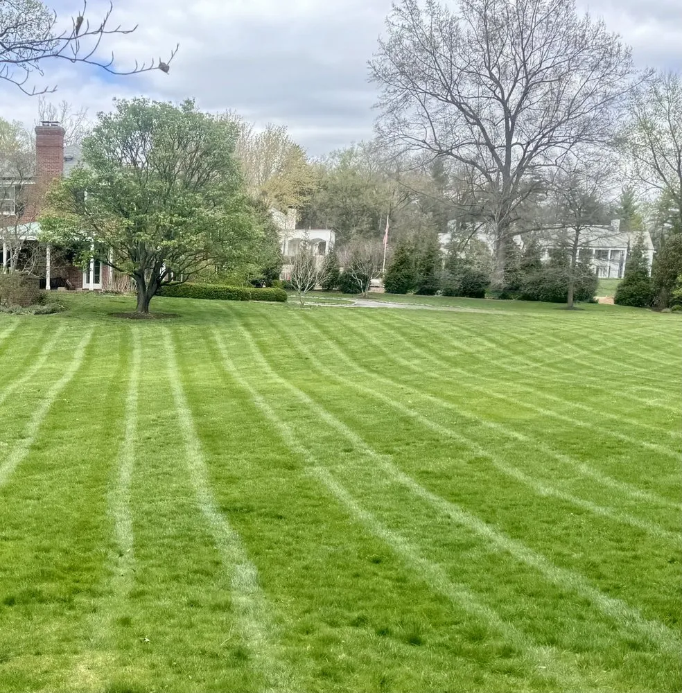 Expert lawn care service in Collinsville, IL by Huerta Outdoors