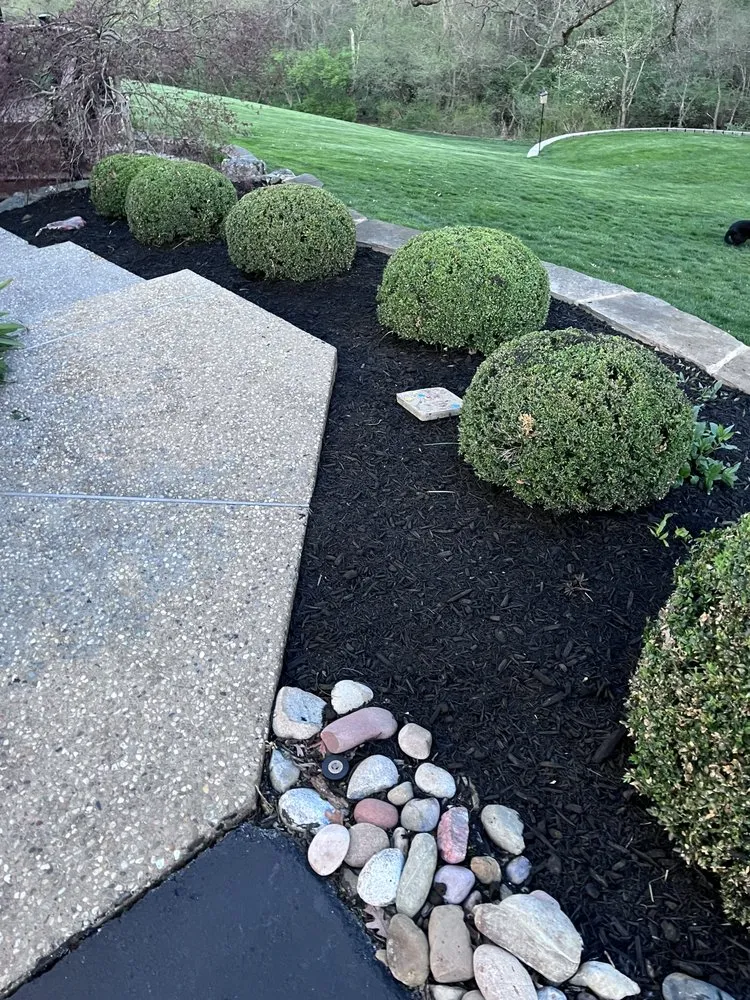 Local yard cleanup service in Collinsville, IL by Huerta Outdoors