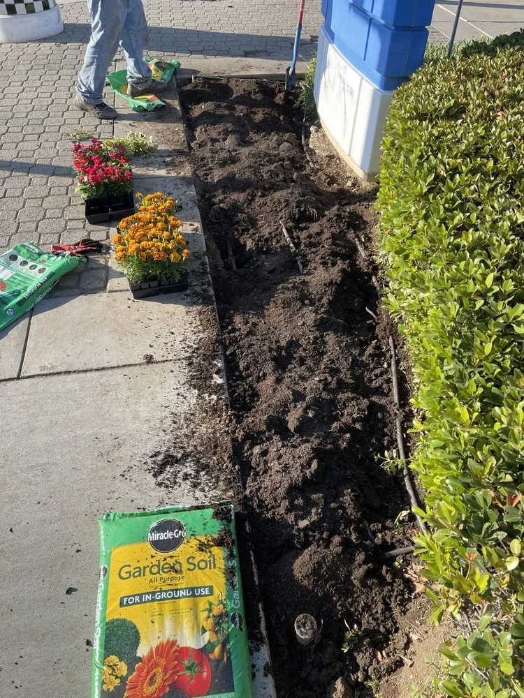 Professional lawn care service in San Gabriel, CA by Huerta's Landscape & Maintenance