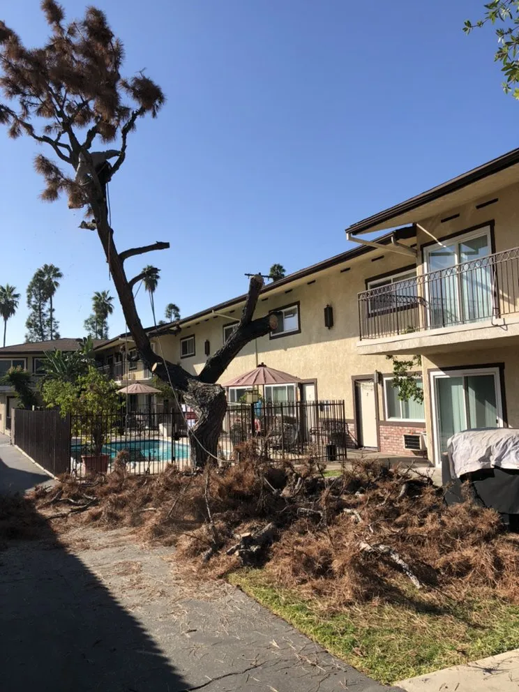 Custom outdoor landscaping near you across San Gabriel, CA - Huerta's Landscape & Maintenance