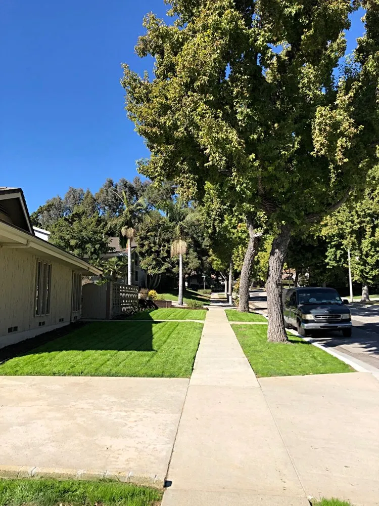 Affordable garden landscaping experts serving San Gabriel, CA - Huerta's Landscape & Maintenance