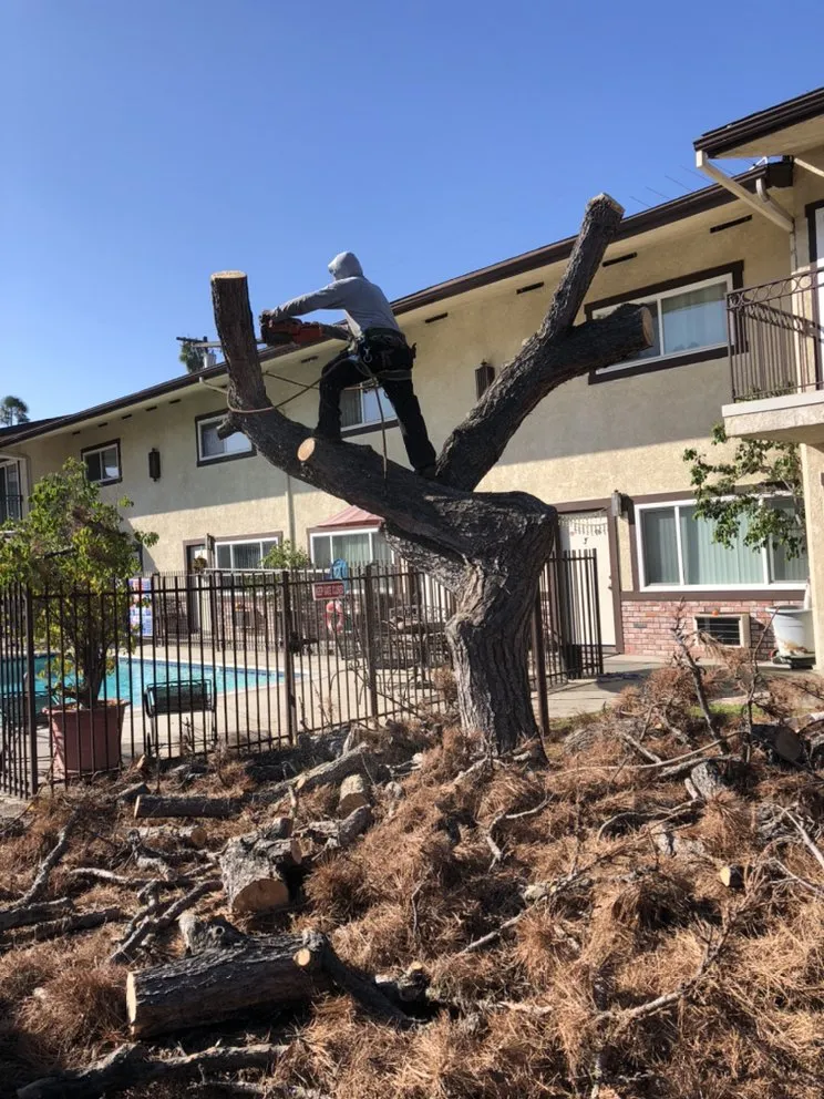 Top-rated landscaping services in San Gabriel, CA - Huerta's Landscape & Maintenance