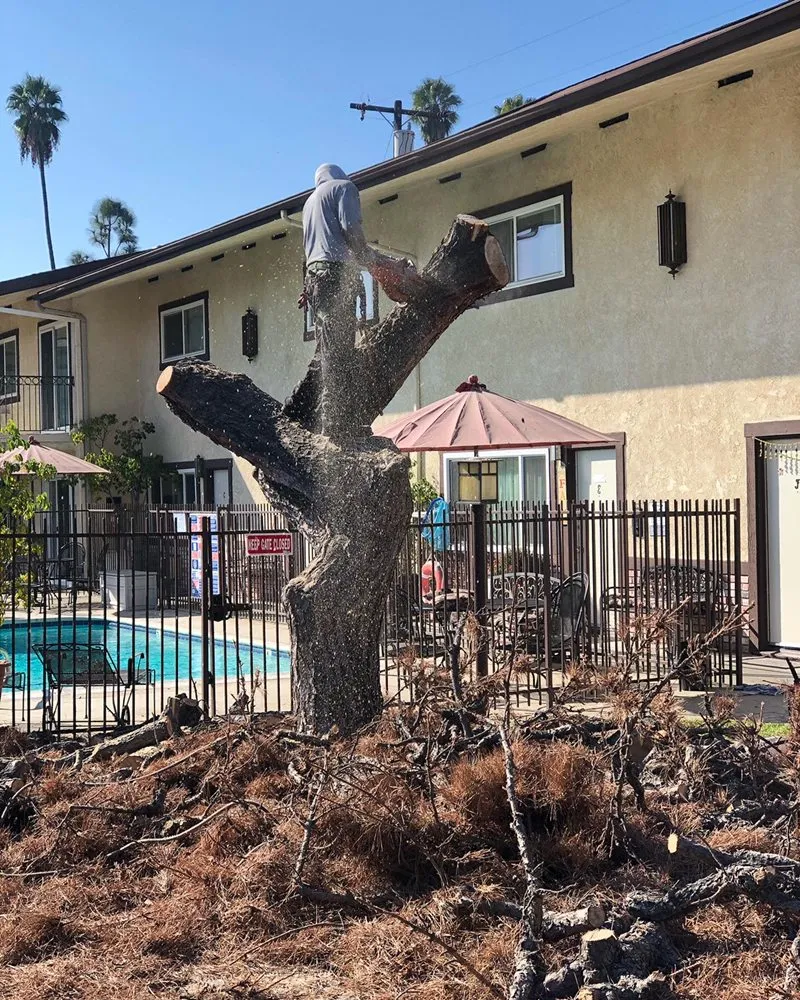 Expert landscape design in San Gabriel, CA - Huerta's Landscape & Maintenance