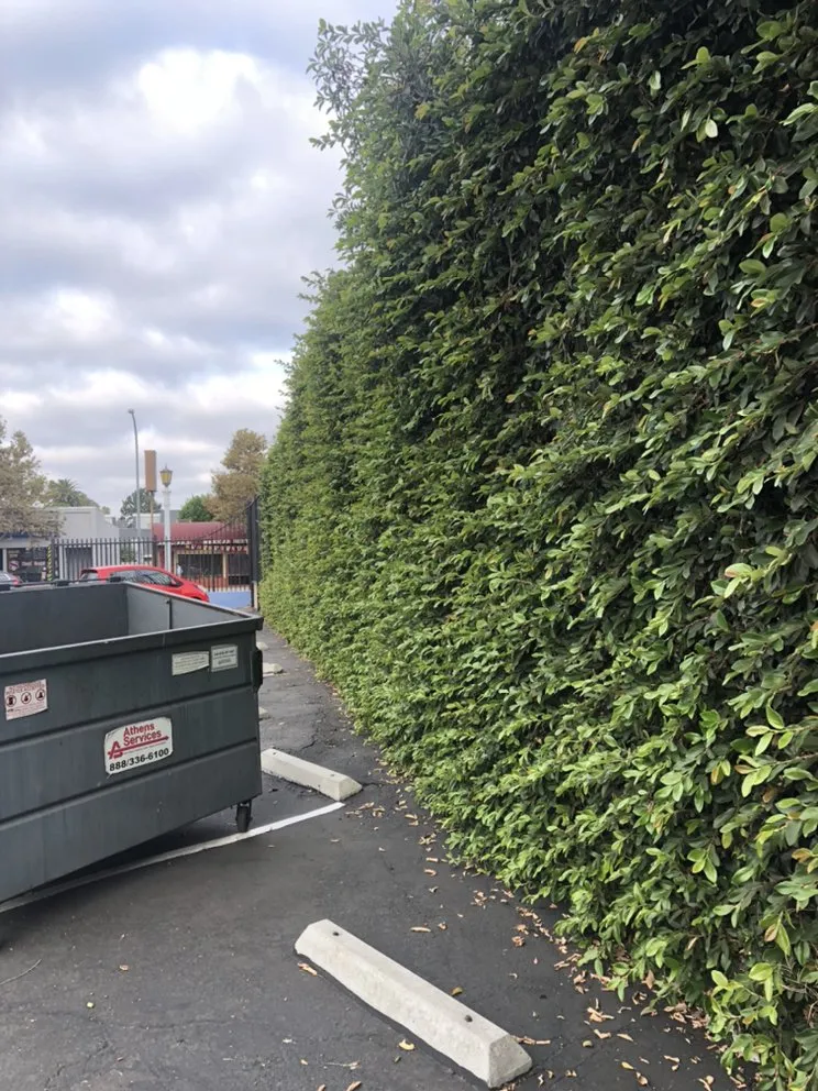 Trusted outdoor landscaping for homes in San Gabriel, CA by Huerta's Landscape & Maintenance