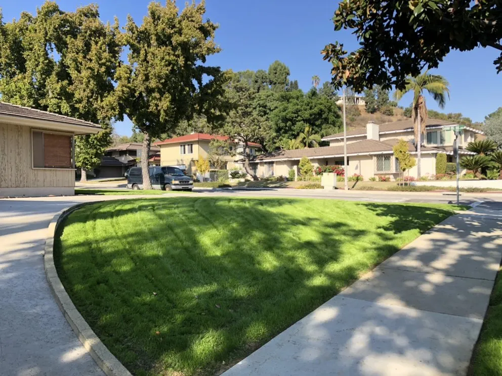 Local yard maintenance experts serving San Gabriel, CA - Huerta's Landscape & Maintenance