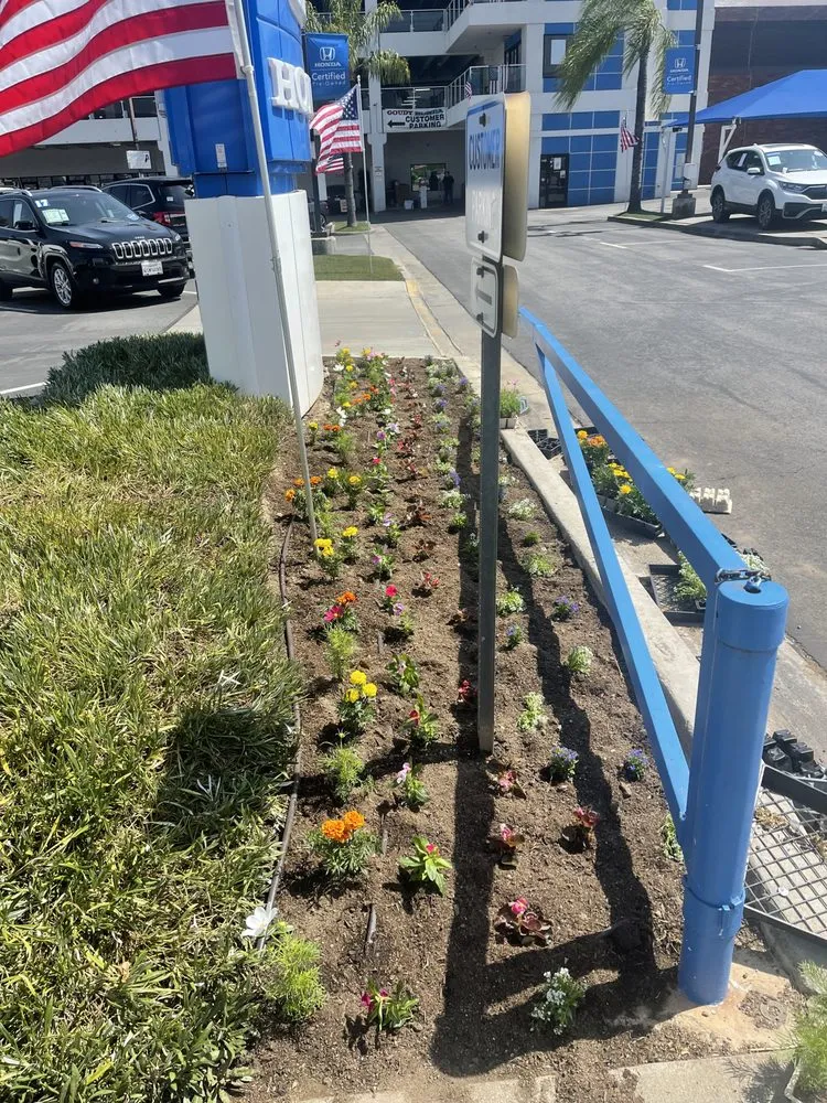 Expert yard maintenance in San Gabriel, CA by Huerta's Landscape & Maintenance