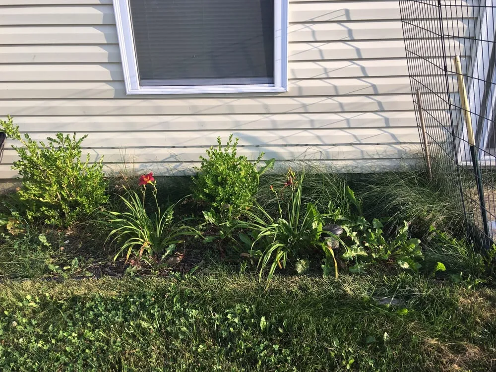 Local yard cleanup service in Indianapolis, IN by Huerta's Landscaping