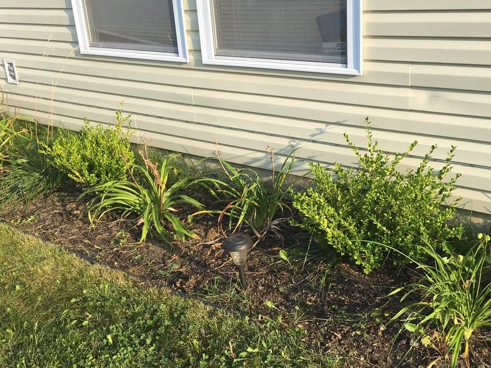 Top-rated yard cleanup service for outdoor upgrades across Indianapolis, IN - Huerta's Landscaping