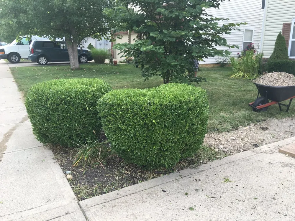 Expert landscape design in Indianapolis, IN - Huerta's Landscaping