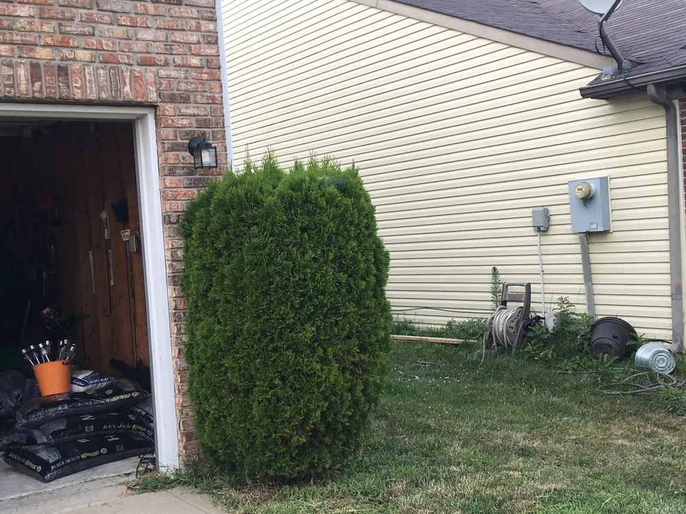 Top-rated landscape installation in Indianapolis, IN by Huerta's Landscaping