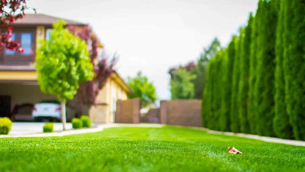Professional landscape design in Pasco, WA by Huesitos Landscaping
