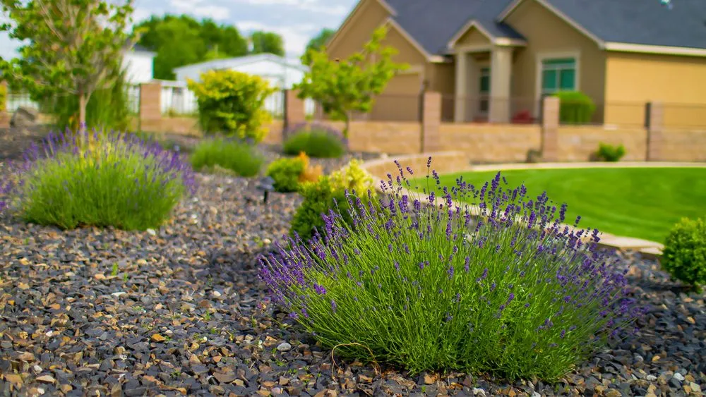 Top-rated landscaping services for homes in Pasco, WA by Huesitos Landscaping