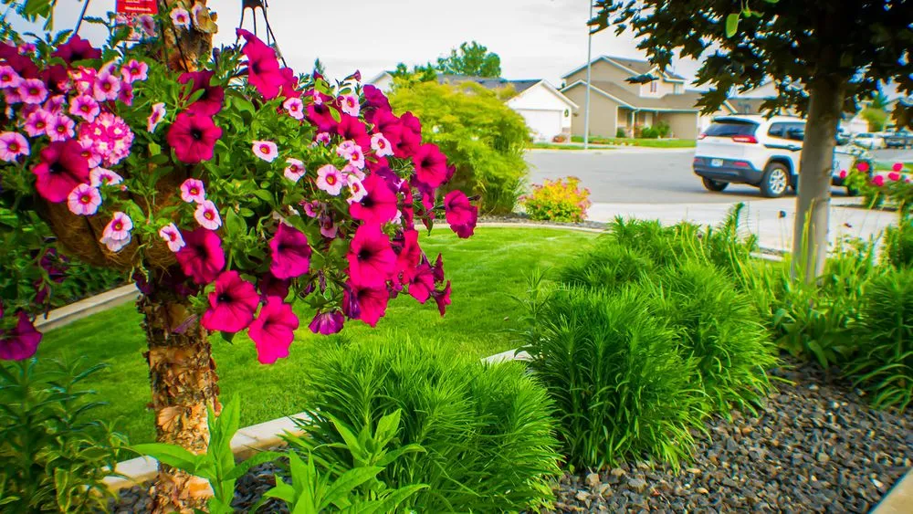 Affordable outdoor landscaping for residential properties across Pasco, WA - Huesitos Landscaping