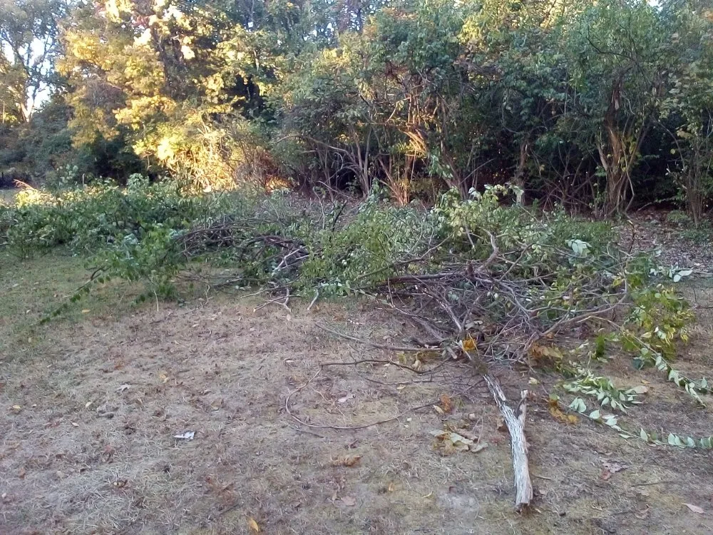 Expert lawn care service for homes in Cincinnati, OH by Huff Landscaping