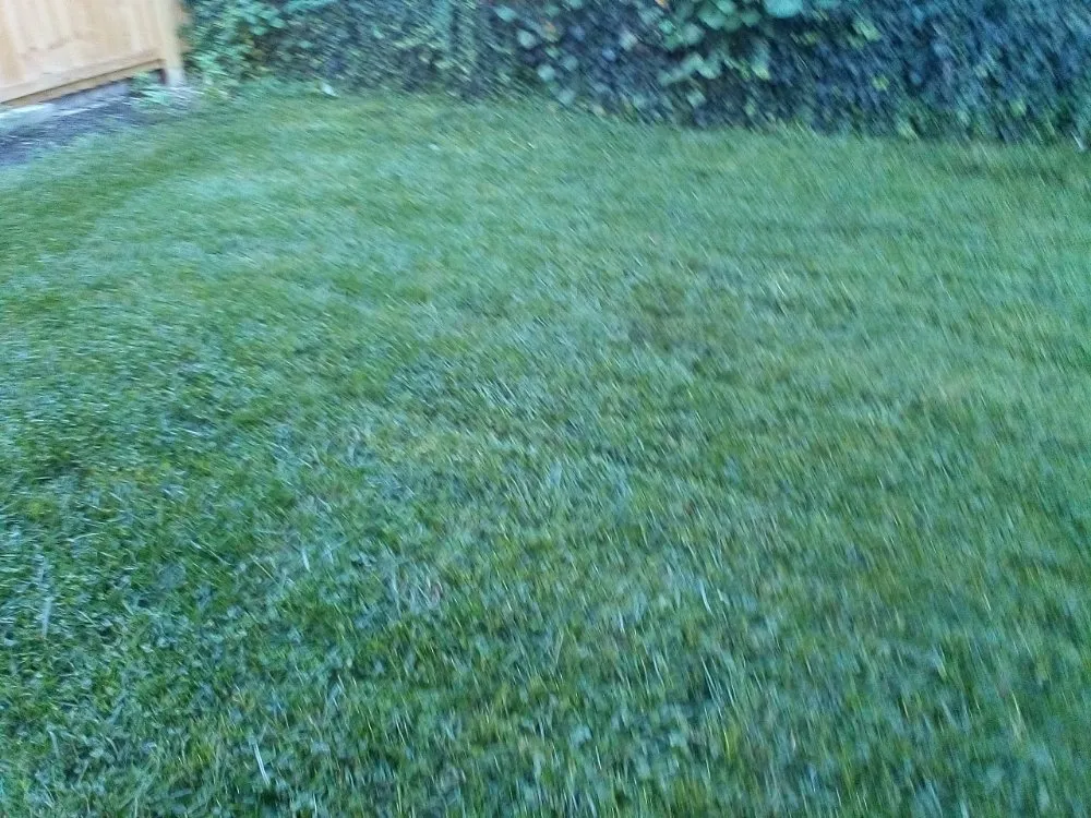 Professional landscape design experts serving Cincinnati, OH - Huff Landscaping