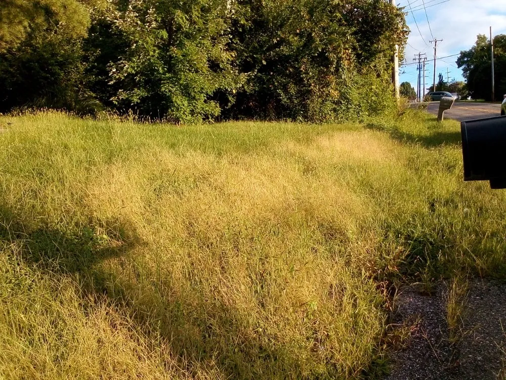 Top-rated landscaping services in Cincinnati, OH - Huff Landscaping