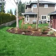 Expert yard cleanup service experts serving Rochester, WA - Huff Landscaping