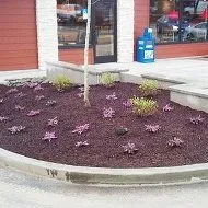 Local residential landscaping near you across Rochester, WA - Huff Landscaping