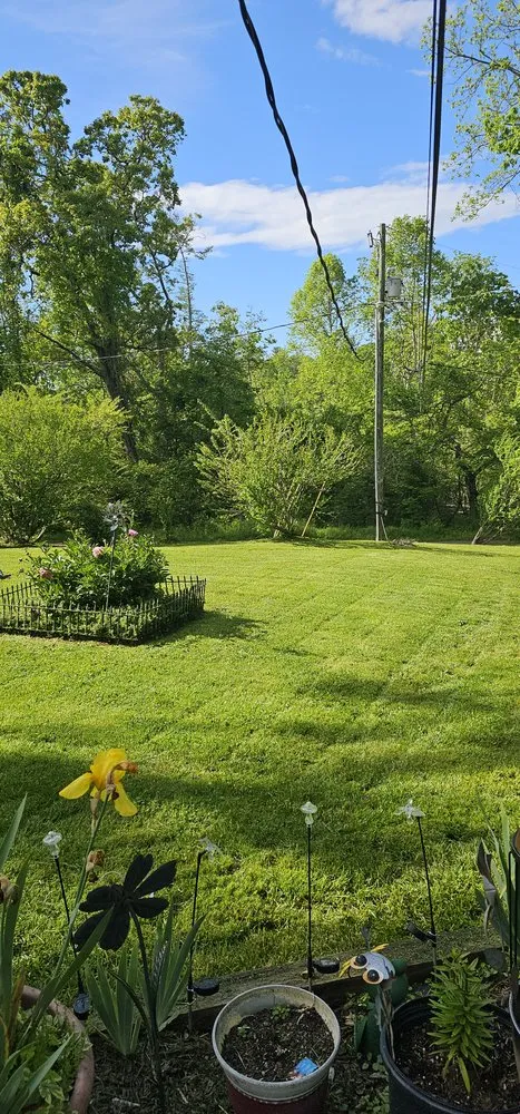 Affordable lawn care service in Barnardsville, NC by Huff N Puff Lawn Care