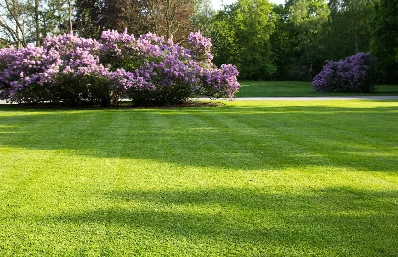 Top-rated outdoor landscaping near you across Smyrna, TN - Huff’s Lawn Care
