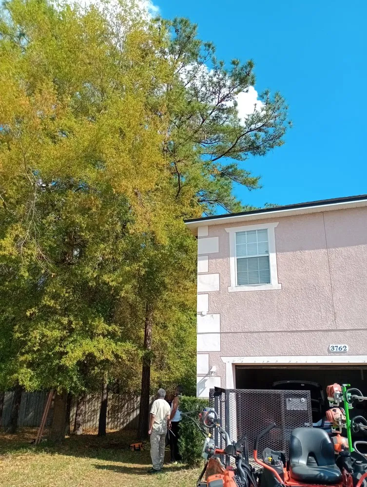 Professional landscaping services in Jacksonville, FL - Huggins Lawn & Tree service