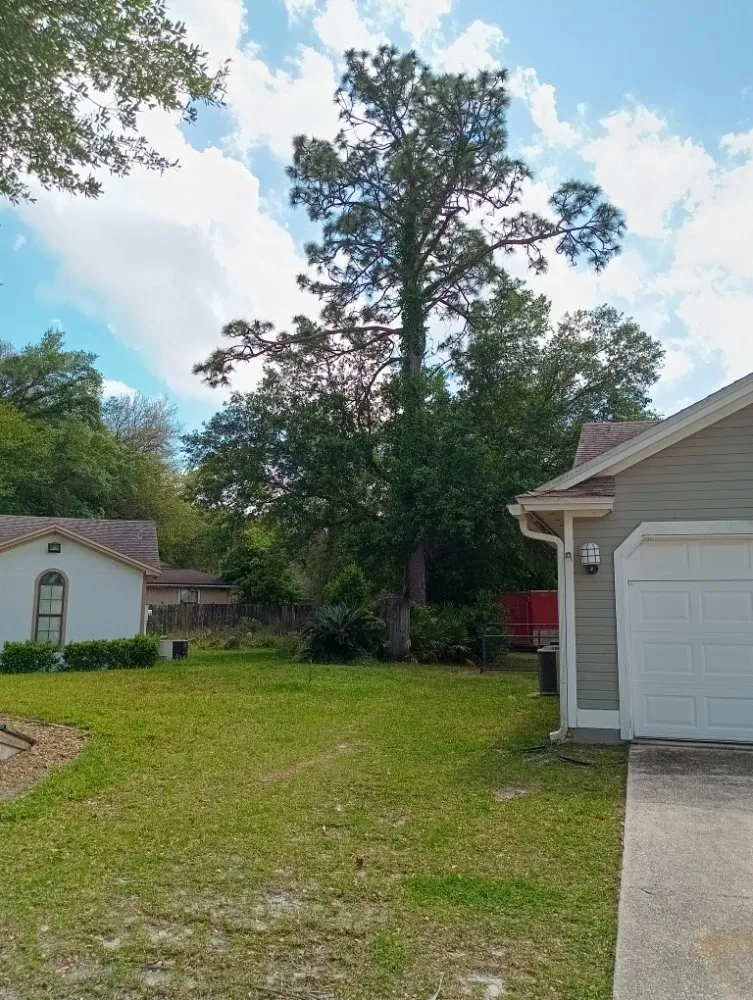 Professional yard cleanup service for year-round maintenance across Jacksonville, FL - Huggins Lawn & Tree service
