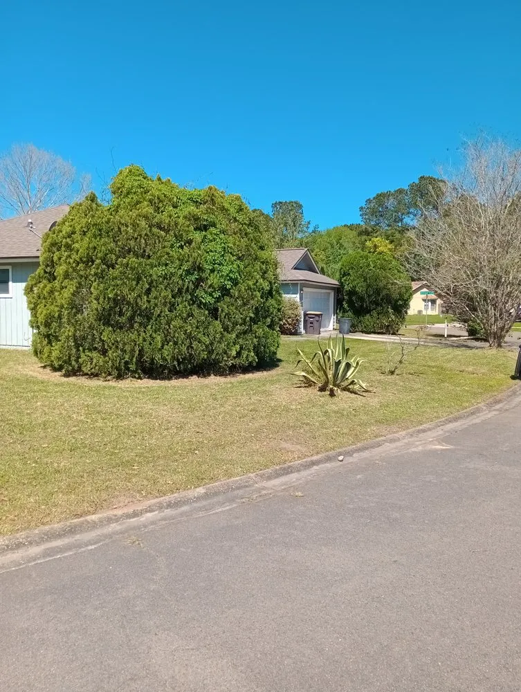 Top-rated landscape design in Jacksonville, FL by Huggins Lawn & Tree service