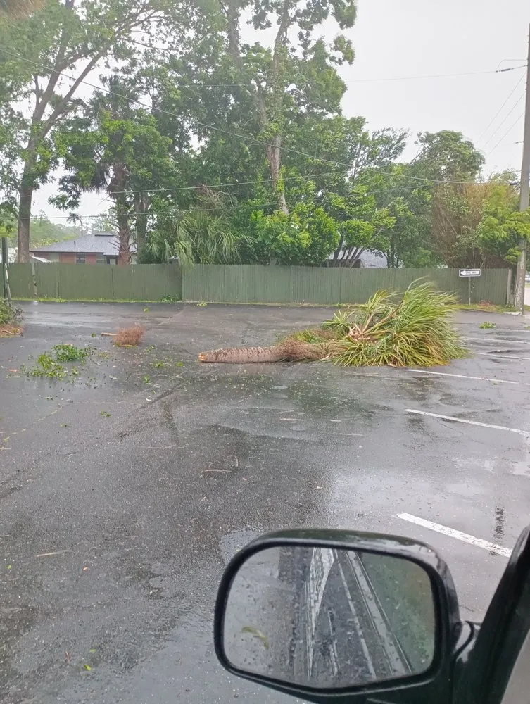 Trusted yard maintenance with custom design in Jacksonville, FL by Huggins Lawn & Tree service