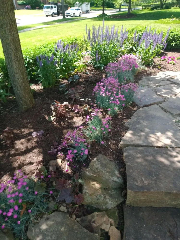 Professional yard maintenance in Cleveland, OH - Huggins Lawn Care