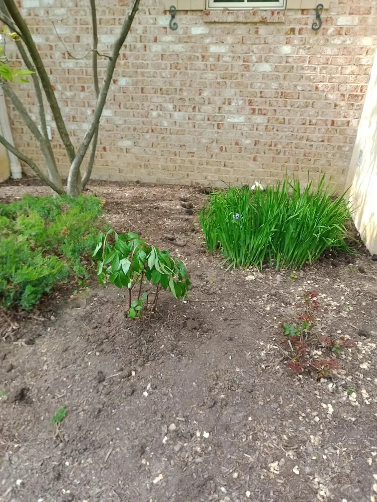 Expert landscape design for year-round maintenance across Cleveland, OH - Huggins Lawn Care