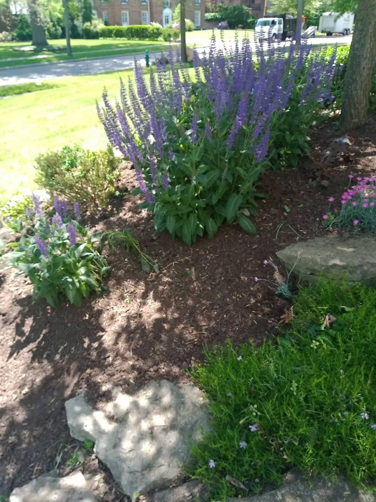 Expert outdoor landscaping in Cleveland, OH by Huggins Lawn Care